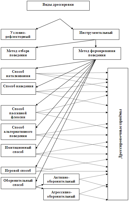 Работа-игра (дрессировка собак — детекторов запахов) i_004.png