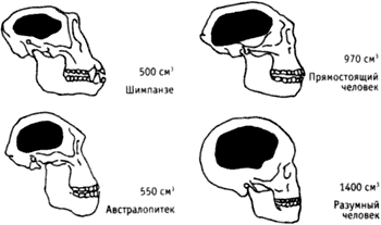 Непослушное дитя биосферы c01p01.png