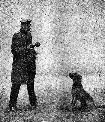 Руководство дрессировки полицейских и военных собак i_023.jpg
