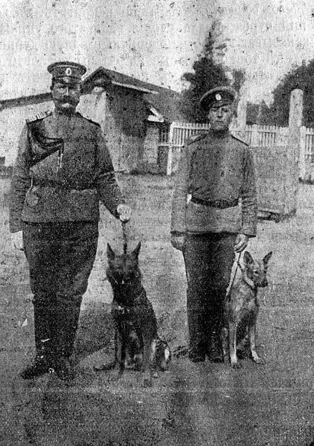 Руководство дрессировки полицейских и военных собак i_031.jpg