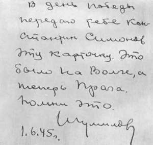 Разные дни войны. Дневник писателя, т.2. 1942-1945 годы i_034.jpg