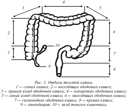 Очищение организма и здоровье: современный подход i_003.png