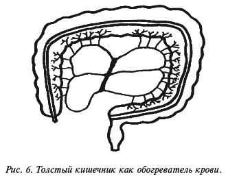 Очищение организма и здоровье: современный подход i_007.png