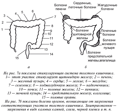 Очищение организма и здоровье: современный подход i_008.png