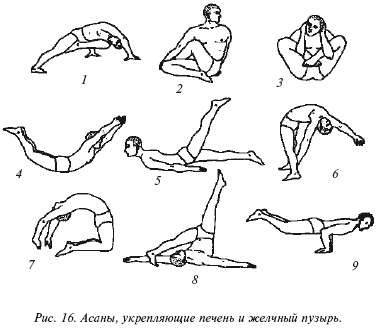 Очищение организма и здоровье: современный подход i_016.png