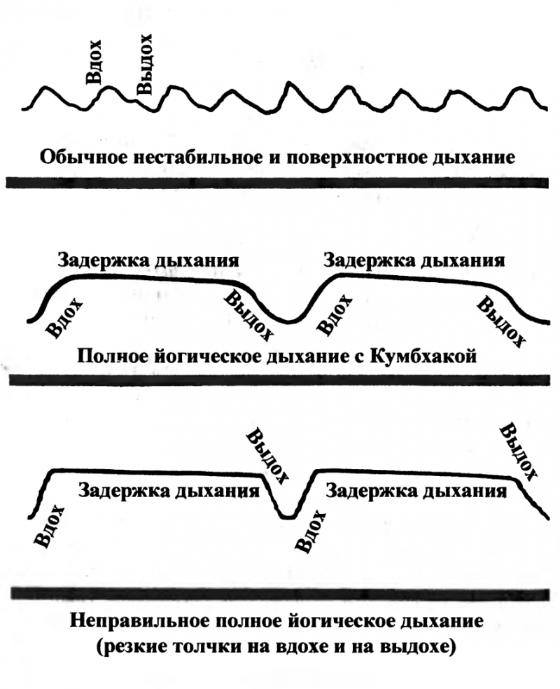 Пранаяма. Путь к тайнам йоги img_11.png