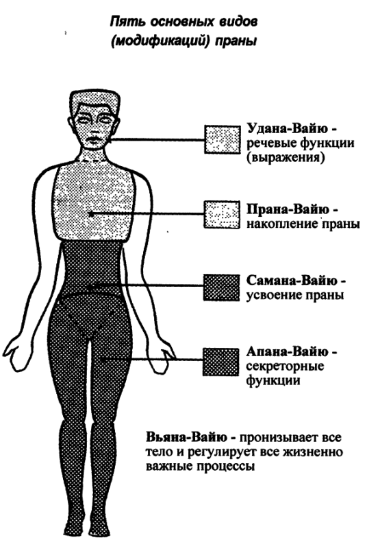 Пранаяма. Путь к тайнам йоги img_27.png