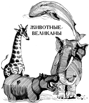 Энциклопедия животных i_001.png