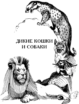 Энциклопедия животных i_014.png