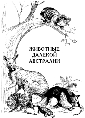Энциклопедия животных i_068.png