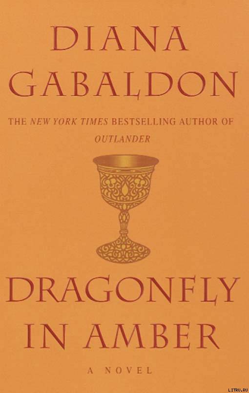 Dragonfly In Amber pic_1.jpg
