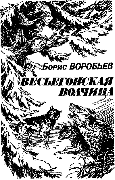 Искатель. 1987. Выпуск №3 i_004.png