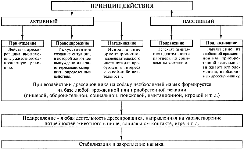 Кинологическое обеспечение деятельности органов и войск МВД РФ i_012.png