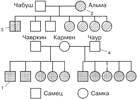 Кинологическое обеспечение деятельности органов и войск МВД РФ i_016.png