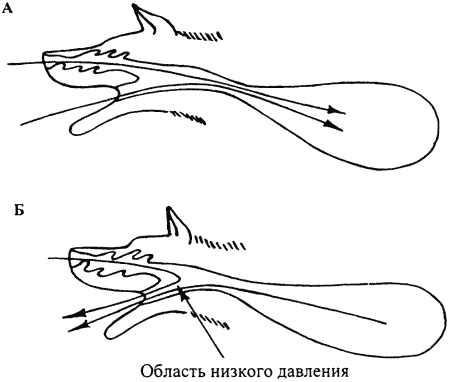 Кинологическое обеспечение деятельности органов и войск МВД РФ i_024.png