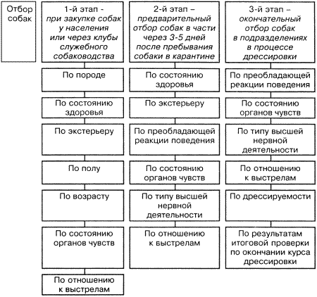 Кинологическое обеспечение деятельности органов и войск МВД РФ i_054.png