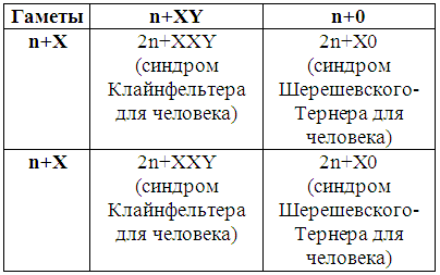 Племенное разведение собак i_010.png