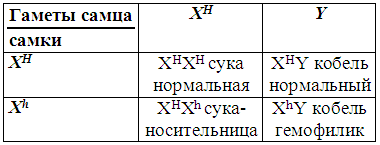 Племенное разведение собак i_030.png