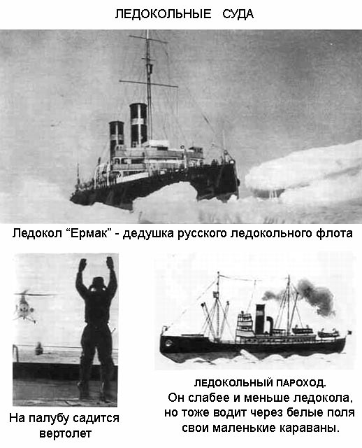 По морям вокруг Земли. Детская морская энциклопедия. Часть I i_058.jpg