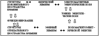 Вибрационная медицина _04.jpg