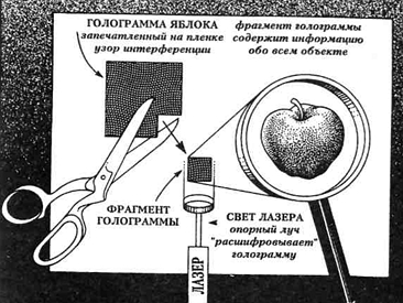 Вибрационная медицина _07.jpg