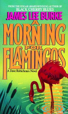 A Morning for Flamingos pic_1.jpg