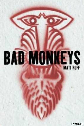 Bad Monkeys cover.jpg