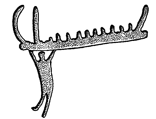 Древние скандинавы. Сыны северных богов. pic_13.png