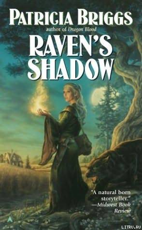 Raven's Shadow cover1.jpg