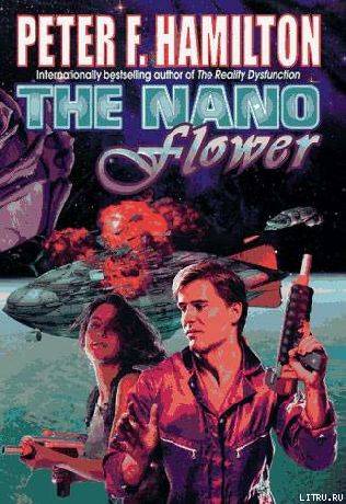 The Nano Flower cover3.jpg