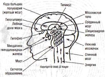 Параллельные жизни и колебания квантового поля _08.jpg