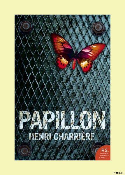 Papillon pic_1.jpg