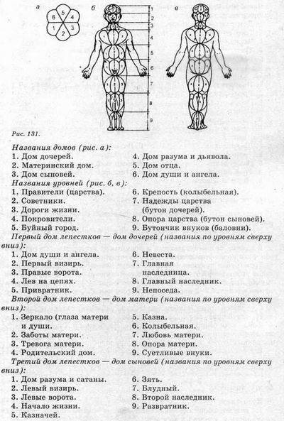 Система здоровья Норбекова и Сам Чон До. Полный курс hvan_131.jpg