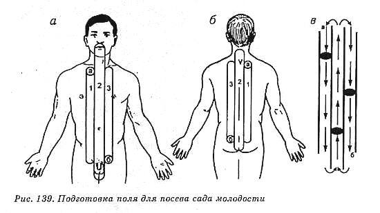 Система здоровья Норбекова и Сам Чон До. Полный курс hvan_139.jpg