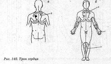 Система здоровья Норбекова и Сам Чон До. Полный курс hvan_140.jpg