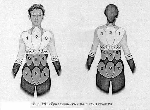 Система здоровья Норбекова и Сам Чон До. Полный курс hvan_28.jpg