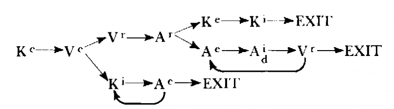 Neuro–Linguistic Programming: Volume I. The Study of the Structure of Subjective Experience img_54.png