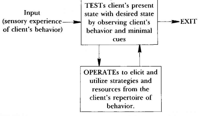 Neuro–Linguistic Programming: Volume I. The Study of the Structure of Subjective Experience img_64.png