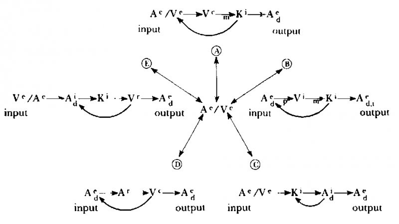 Neuro–Linguistic Programming: Volume I. The Study of the Structure of Subjective Experience img_81.png