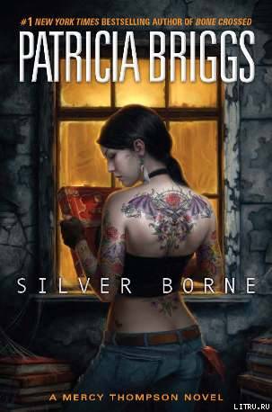 Silver Borne cover5.jpg