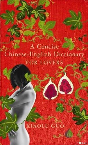 A Concise Chinese English Dictionary for Lovers pic_1.jpg
