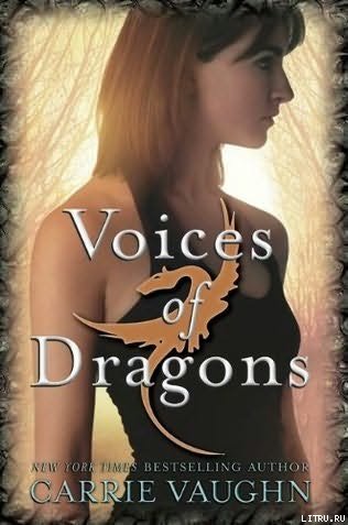 Voices of Dragons cover.jpg