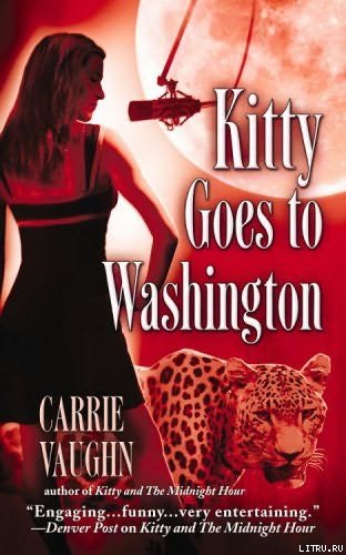 Kitty Goes to Washington cover2.jpg