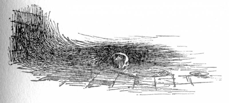 The Canterville Ghost (Illustrated by WALLACE GOLDSMITH) i_015.jpg