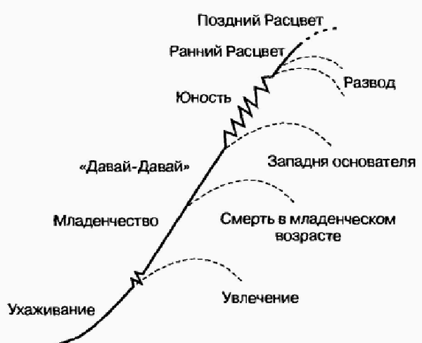 Управление жизненным циклом корпорации img_15.png