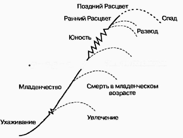 Управление жизненным циклом корпорации img_17.png