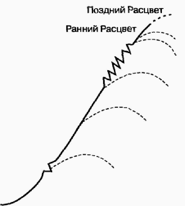 Управление жизненным циклом корпорации img_18.png