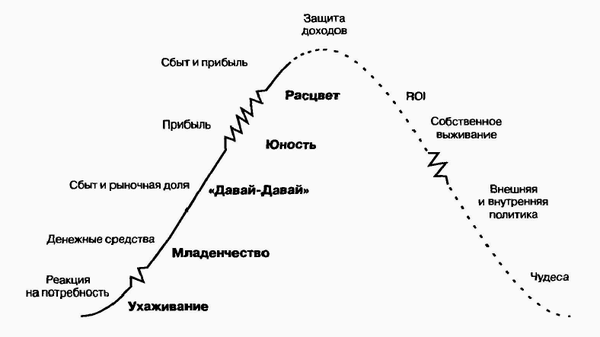 Управление жизненным циклом корпорации img_22.png