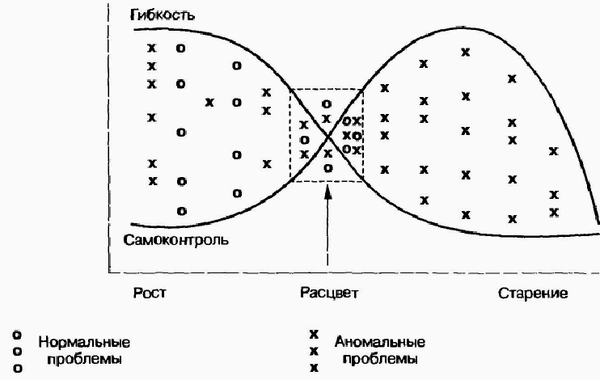 Управление жизненным циклом корпорации img_62.png