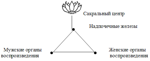 КОМПИЛЯЦИЯ О СЕКСЕ img_2.png